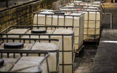 Travem: Abilitazione al trasporto di merci pericolose e sottoprodotti di origine animale